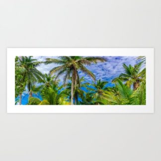 Panoramic view of majestic palm trees with blue sky and fluffy clouds in the background