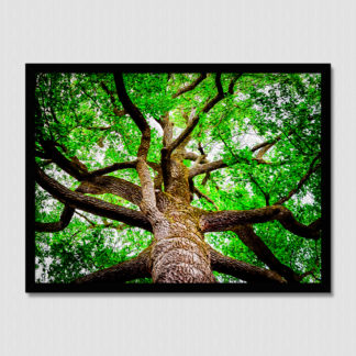 Oil painting of big tree in the forest with gnarly branches