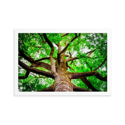 Oil painting of big tree in the forest with gnarly branches