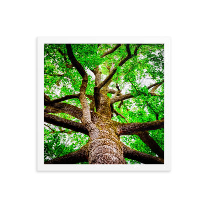 Oil painting of big tree in the forest with gnarly branches