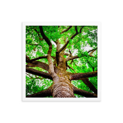 Oil painting of big tree in the forest with gnarly branches