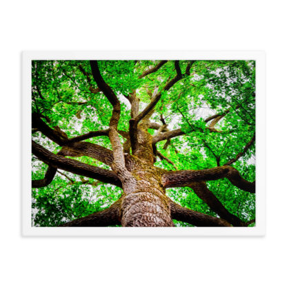 Oil painting of big tree in the forest with gnarly branches