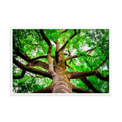 Oil painting of big tree in the forest with gnarly branches