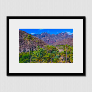 Oasis of lush vegetation among the dry desert mountain valley of Juncalito, Baja Mexico.