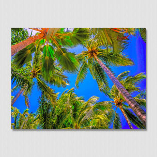 Sunny overhead palm trees and blue sky in a paradise called Barre De Navidad, Mexico.