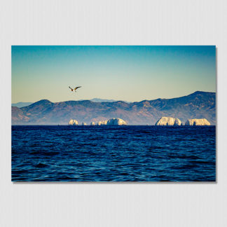 Sea bird flying by white islands near the entrance of bahia Zihuatanejo, Mexico