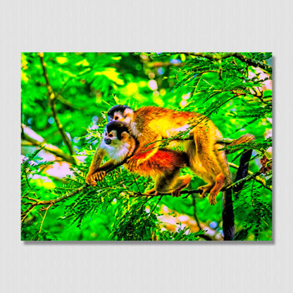 Squirrel monkey lovers lounging in a jungle tree, with oil paint effect, photo captured on the Osa Peninsula, Costa Rica