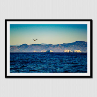 Sea bird flying by white islands near the entrance of bahia Zihuatanejo, Mexico