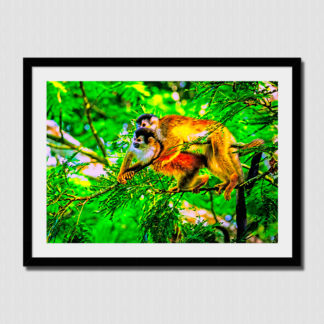 Squirrel monkey lovers lounging in a jungle tree, with oil paint effect, photo captured on the Osa Peninsula, Costa Rica