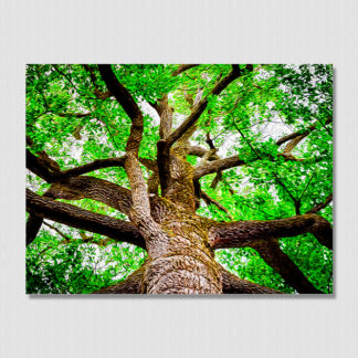 Oil painting of big tree in the forest with gnarly branches