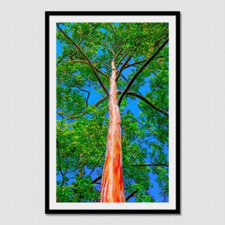 Detailed and colorful bark of tall tree and wild long branches with oil paint effect created at Bastimentos, Bocas Del Toro, Panama