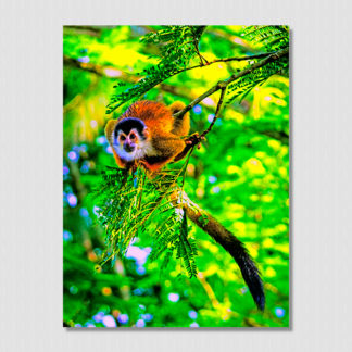 Getting ready to jump squirrel monkey in a jungle tree, with oil paint effect, photo captured on the Osa Peninsula, Costa Rica