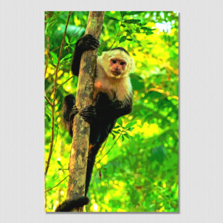 Capuchin monkey hanging on a tree with oil paint posterizing effect in Costa Rica