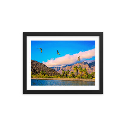 Three Pelican Palms, Oil Paint - Framed Poster with Faux Mat Frame - Image 2