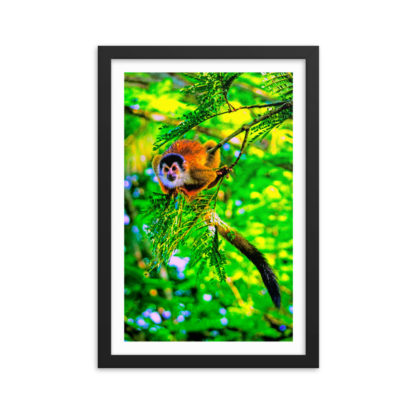 Ready to Jump Squirrel Monkey, Oil Paint - Framed Poster with Faux Mat Frame - Image 2