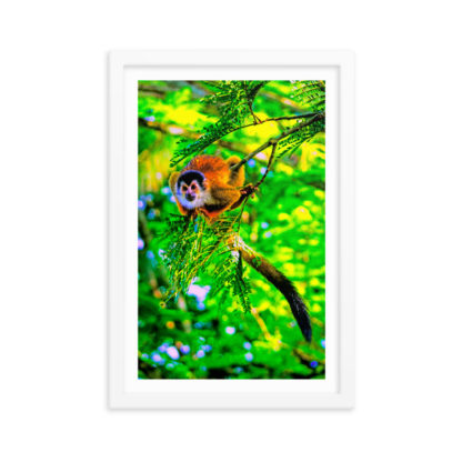 Ready to Jump Squirrel Monkey, Oil Paint - Framed Poster with Faux Mat Frame - Image 3