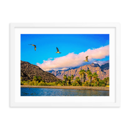 Three Pelican Palms, Oil Paint - Framed Poster with Faux Mat Frame - Image 4