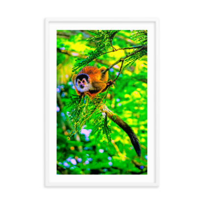 Ready to Jump Squirrel Monkey, Oil Paint - Framed Poster with Faux Mat Frame - Image 4