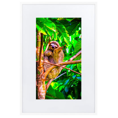 Happy Sloth, Oil Paint - Framed Poster with Mat - Image 2