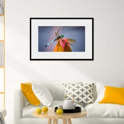 Close-up of detailed dragonfly on the tip of closed water lily