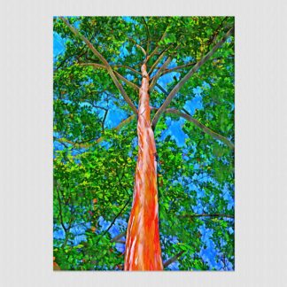 Detailed and colorful bark of tall tree and wild long branches with oil paint effect created at Bastimentos, Bocas Del Toro, Panama