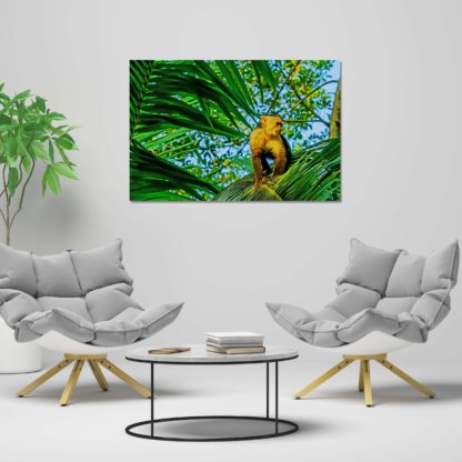 Capuchin monkey meditating on palm leaves with oil paint effect in Costa Rica