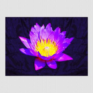 Purple water lily with oil paint effect on dark tone background