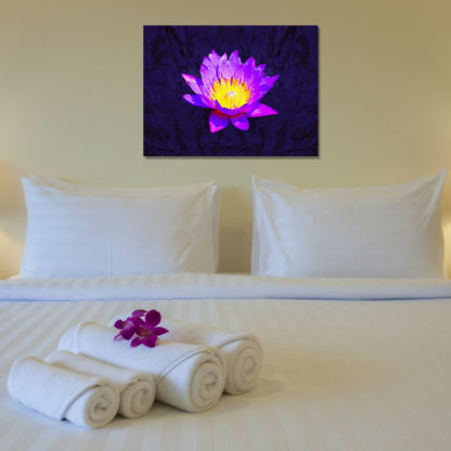 Purple water lily with oil paint effect on dark tone background