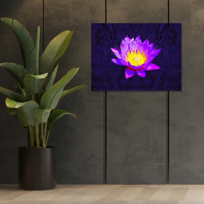 Purple water lily with oil paint effect on dark tone background