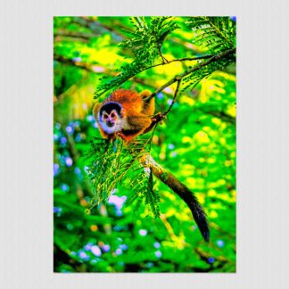 Getting ready to jump squirrel monkey in a jungle tree, with oil paint effect, photo captured on the Osa Peninsula, Costa Rica