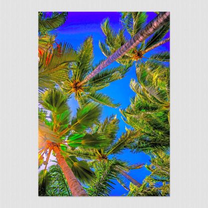 Sunny overhead palm trees and blue sky in a paradise called Barre De Navidad, Mexico.