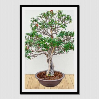 Bonsai Tree No. 2; the miniaturized but realistic representation of nature, with oil paint effect.