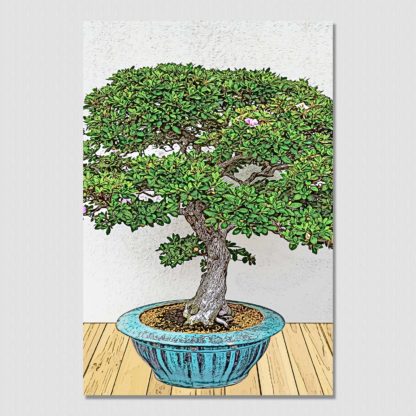 Bonsai Tree No. 4; the miniaturized but realistic representation of nature, with pencil sketch effect.