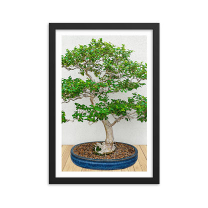 Hi Bonsai No 3, Oil Paint - Framed Poster with Faux Mat Frame - Image 2