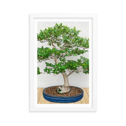 Hi Bonsai No 3, Oil Paint - Framed Poster with Faux Mat Frame - Image 3