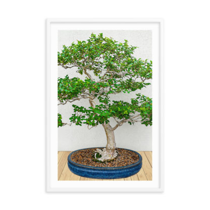 Hi Bonsai No 3, Oil Paint - Framed Poster with Faux Mat Frame - Image 4