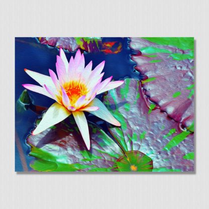 Pastel colored water lily with uniquely colored lily pads laying in a pool of water, with oil paint effect.