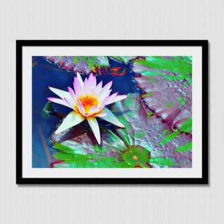 Pastel colored water lily with uniquely colored lily pads laying in a pool of water, with oil paint effect.