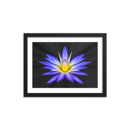 Sunshine Azul - Framed Poster with Faux Mat Frame - Image 2