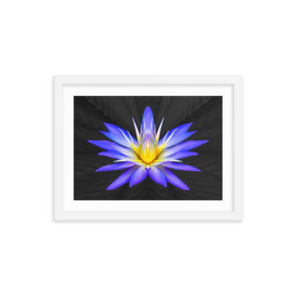 Sunshine Azul - Framed Poster with Faux Mat Frame - Image 3