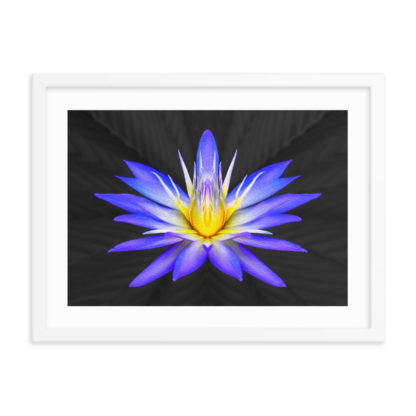 Sunshine Azul - Framed Poster with Faux Mat Frame - Image 4