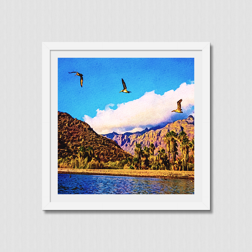 Three pelicans flying by palm trees and mountains in Juncalito, Baja, Mexico
