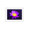 Purple Water Lily on Dark Tones - Framed Print With Faux Mat - Image 3