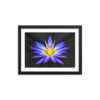 Sunshine Azul - Framed Poster with Faux Mat Frame - Image 2