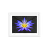 Sunshine Azul - Framed Poster with Faux Mat Frame - Image 3