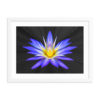 Sunshine Azul - Framed Poster with Faux Mat Frame - Image 4